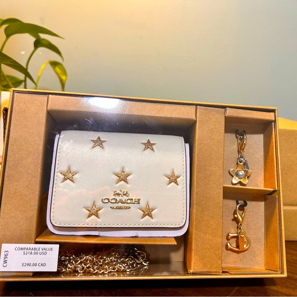 Boxed Mini Wallet On A Chain With Star Print